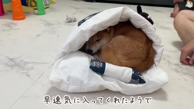 ジャストフィット♡