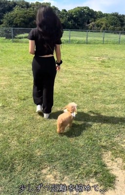 散歩するモカちゃん