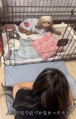 ケージの隅にいるモカちゃん