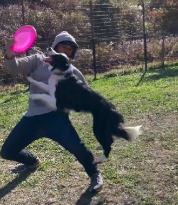 たくさん特訓して…