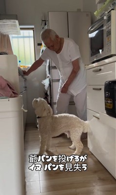 ワンコとおじいちゃんの日常6