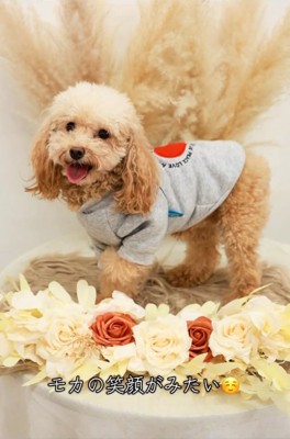 笑顔のモカちゃん