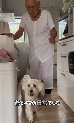 ワンコとおじいちゃんの日常⑩