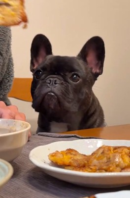 食べ物を目で追うぼんくん