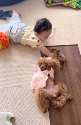 怒らないりのちゃん