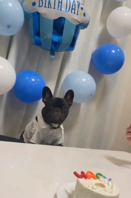 冷めた顔のぼんくん