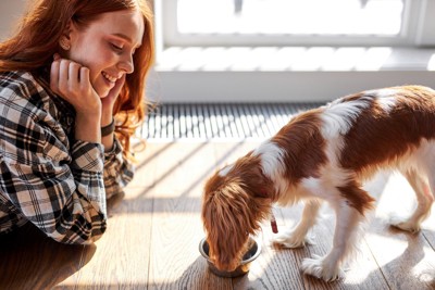 ご飯を食べる犬と見つめる女性
