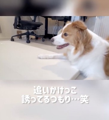 仲良くなれたかな?