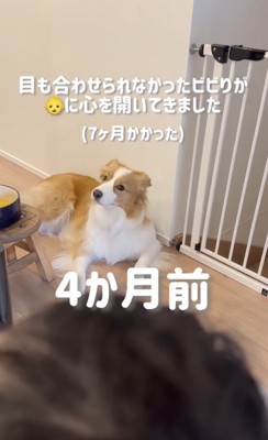 「あかちゃんこわい…」