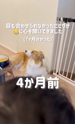 現実逃避真っ最中