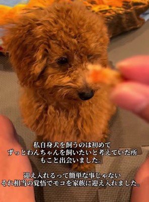 家族に迎えた