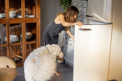 冷蔵庫の中を見つめる犬と女性