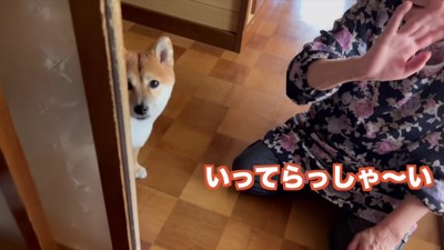 いってらっしゃーい!