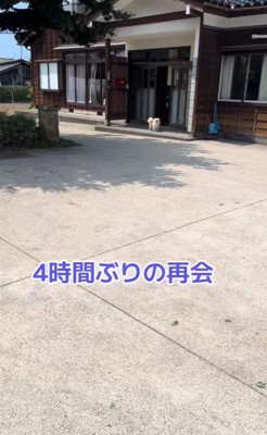 ますお君の熱烈歓迎