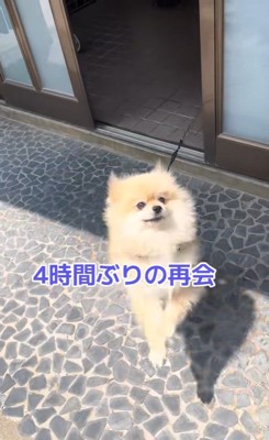 ますお君の熱烈歓迎7