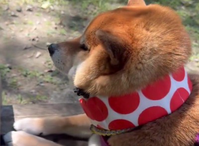 ほっぺたがまとまってる！