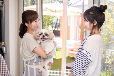 犬を預かる女性