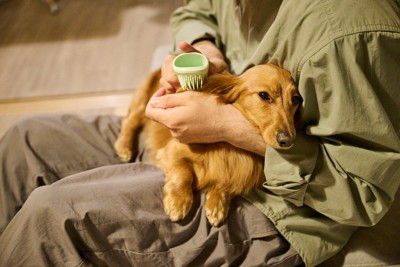 愛犬を抱える男性の日常風景