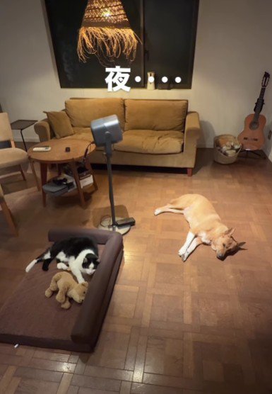 夜になると…