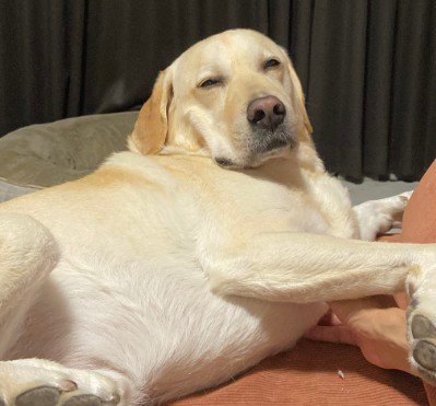 「まだ眠いんだけど…」