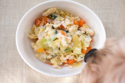 白い器に入った手作りご飯