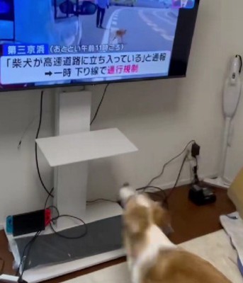 大きく踏み込んで…