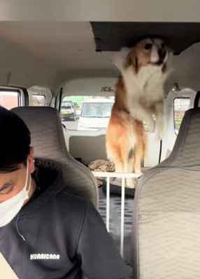 頭が当たってるよ…?