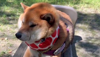 もふっとしてて可愛い♡