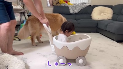 パパが押すよ！