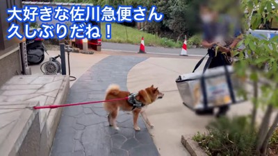 久しぶりに配達員と再会