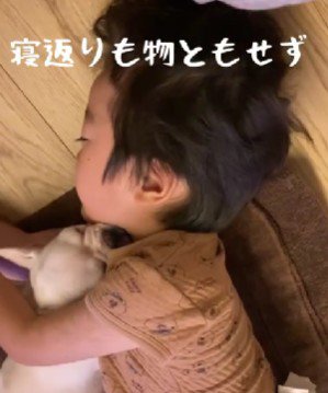 スヤスヤ♡