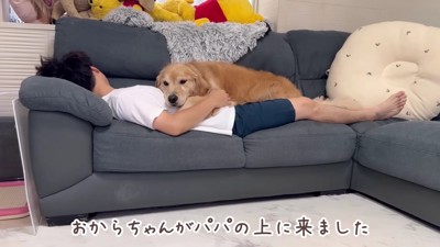 パパはお昼寝…