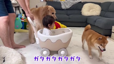 ワゴンで遊ぼう