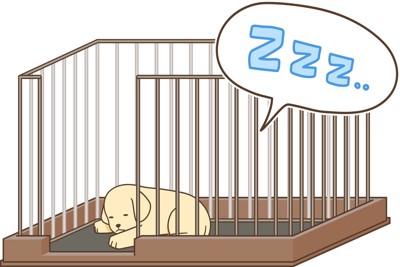 子犬がサークルの中でくつろぐイラスト