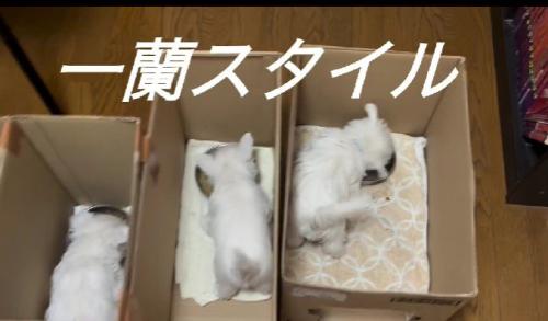 自分のペースで食べられる