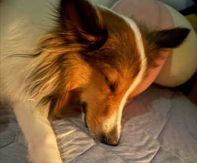 眠る姿