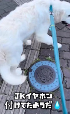 気が付かなかった…