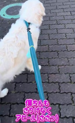 さりげなくアピール