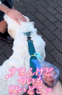 「ニオイも嗅いどこ」