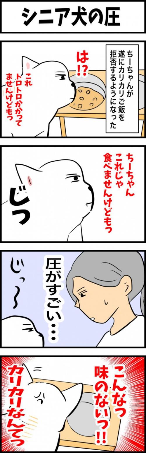 ちーちゃんですけどもっ【第325話】　1