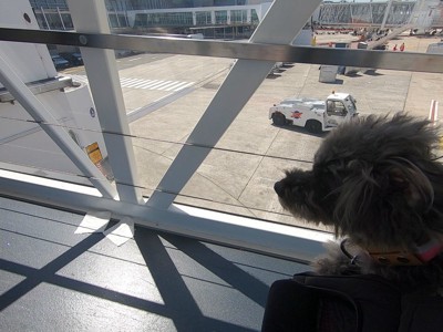 飛行機を降りてすぐ
