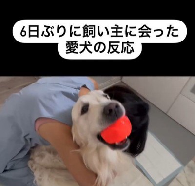 むう君＆める君と飼い主さんの再会8