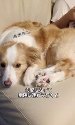 元気もなさそう…?