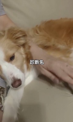 診断名はいかに!?
