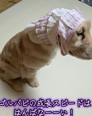 大きくなっても可愛い♡