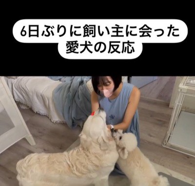 むう君＆める君と飼い主さんの再会9