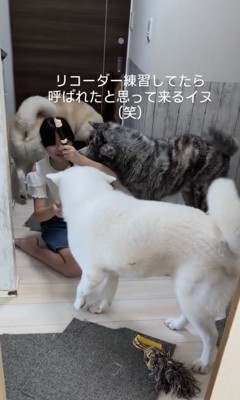 わちゃわちゃ