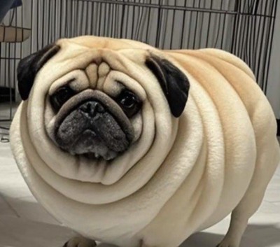 兄貴ちゃんどこ行った？