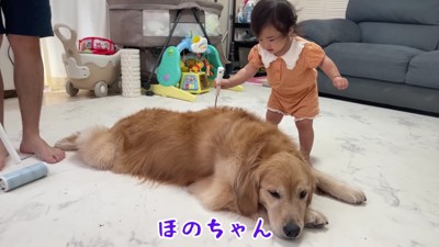 おからちゃんの体にまで!