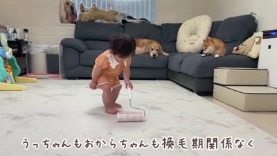 コロコロを駆使